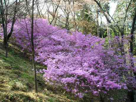 2005.04.17039.JPG