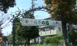 2012.0415004.sai.jpg