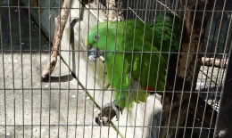 2012.0415010.sai.jpg