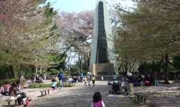 2012.0415013.sai.jpg
