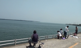 2012.0429002.kawa.jpg