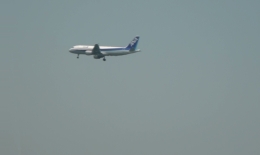 2012.0429003.kawa.jpg