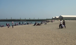 2012.0429005.kawa.jpg