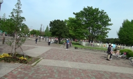 2012.0429009.kawa.jpg