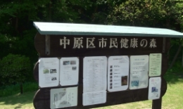 2012.0505001.naka.jpg