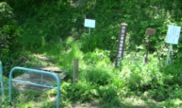 2012.0505002.naka.jpg
