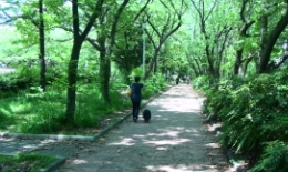 2012.0505010.naka.jpg