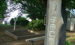 2012.0607002.taka.jpg