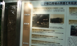 2012.0607003.taka.jpg