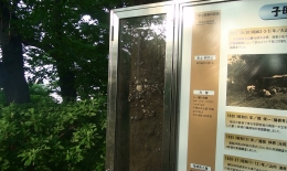 2012.0607004.taka.jpg