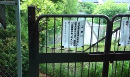 2012.0607005.taka.jpg