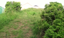 2012.0607007.taka.jpg