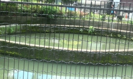 2012.0610008.taka.jpg