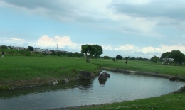 2012.0610013.taka.jpg