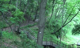 2012.0525007.miya.jpg