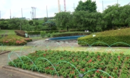2012.0530002.tama.jpg