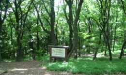 2012.0530008.tama.jpg