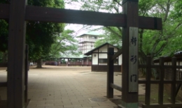 2012.0530018.tama.jpg