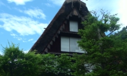 2012.0620005.tama2.jpg