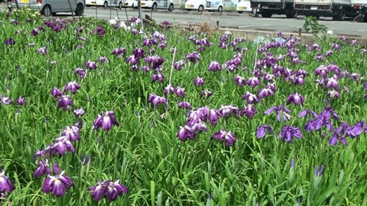 2012.06.07.0002.taka.jpg.jpg